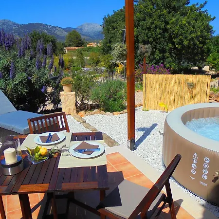 Apartamento Vista Selva (Mallorca)