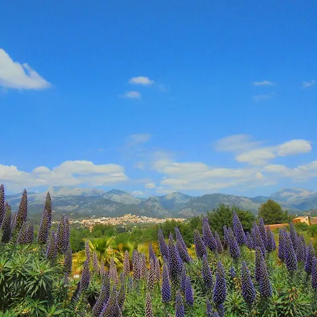 Apartamento Vista Selva (Mallorca)