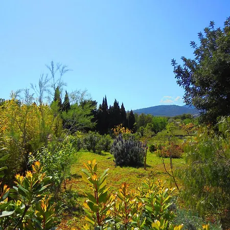 Apartamento Vista Selva (Mallorca)