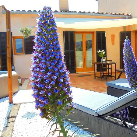Apartamento Vista Selva (Mallorca)